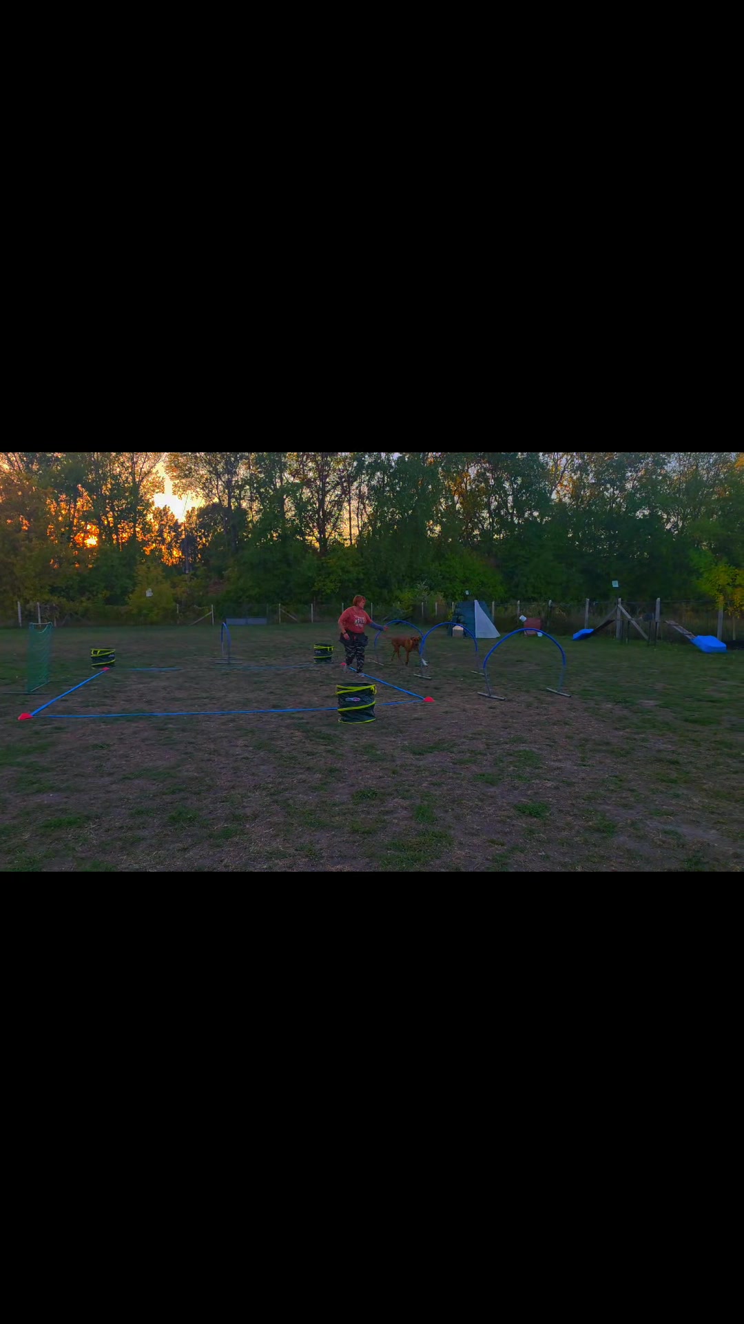 @Szigeti Kutyasuli 2015