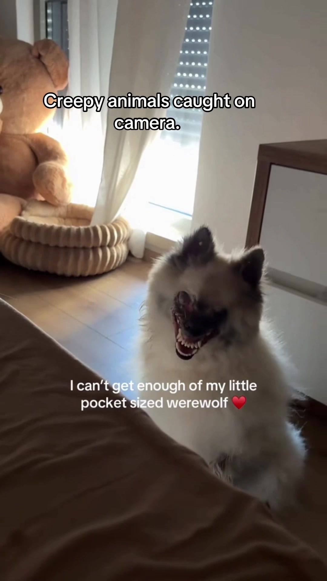 @Cryptid
