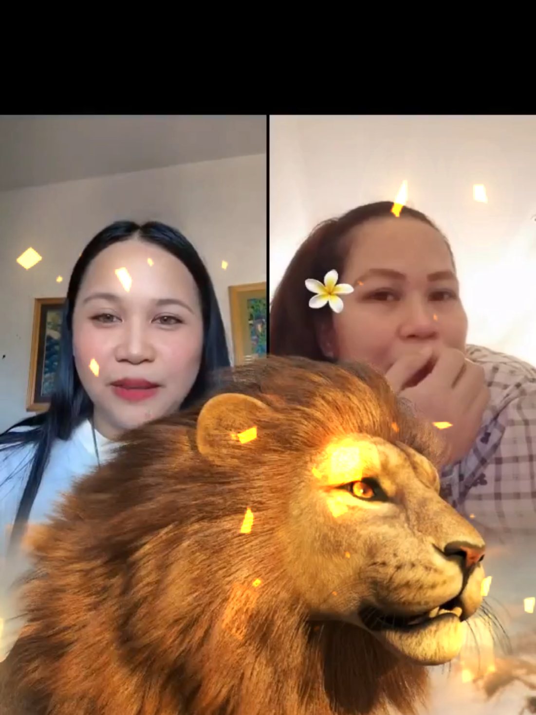 @๐ท๐๐ถ๐ท๐ต.๐ถ๐๐๐๐๐๐๐ท