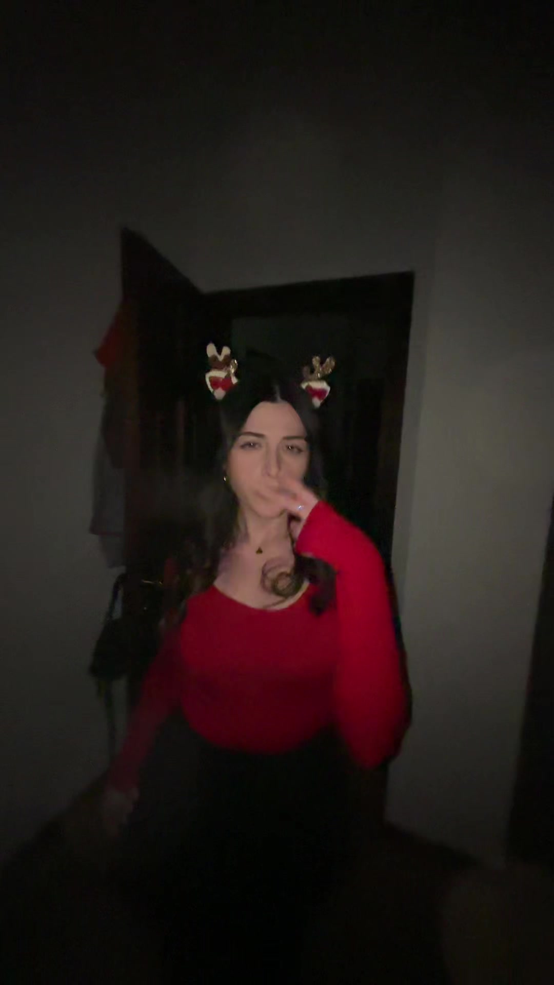 @silvia santi