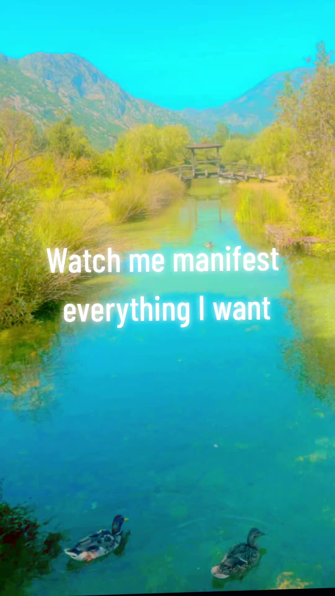 @manifest_with_me