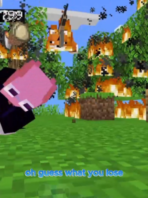 @LookyReviewsTikTok