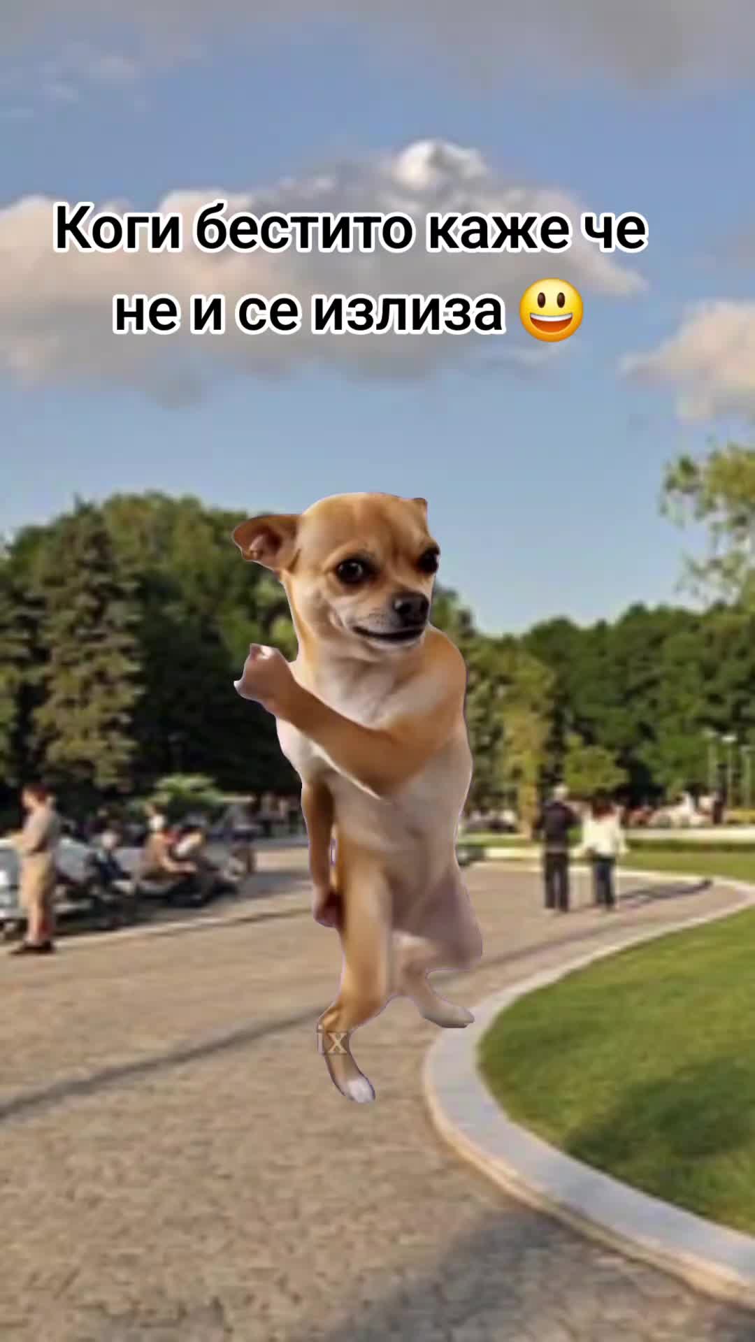@Denichka