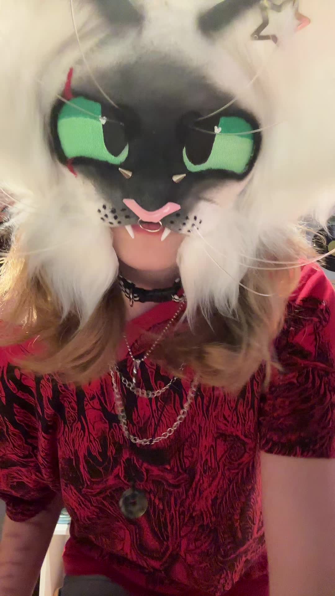 @ᯓ★ Cєηιχ!! . °༅