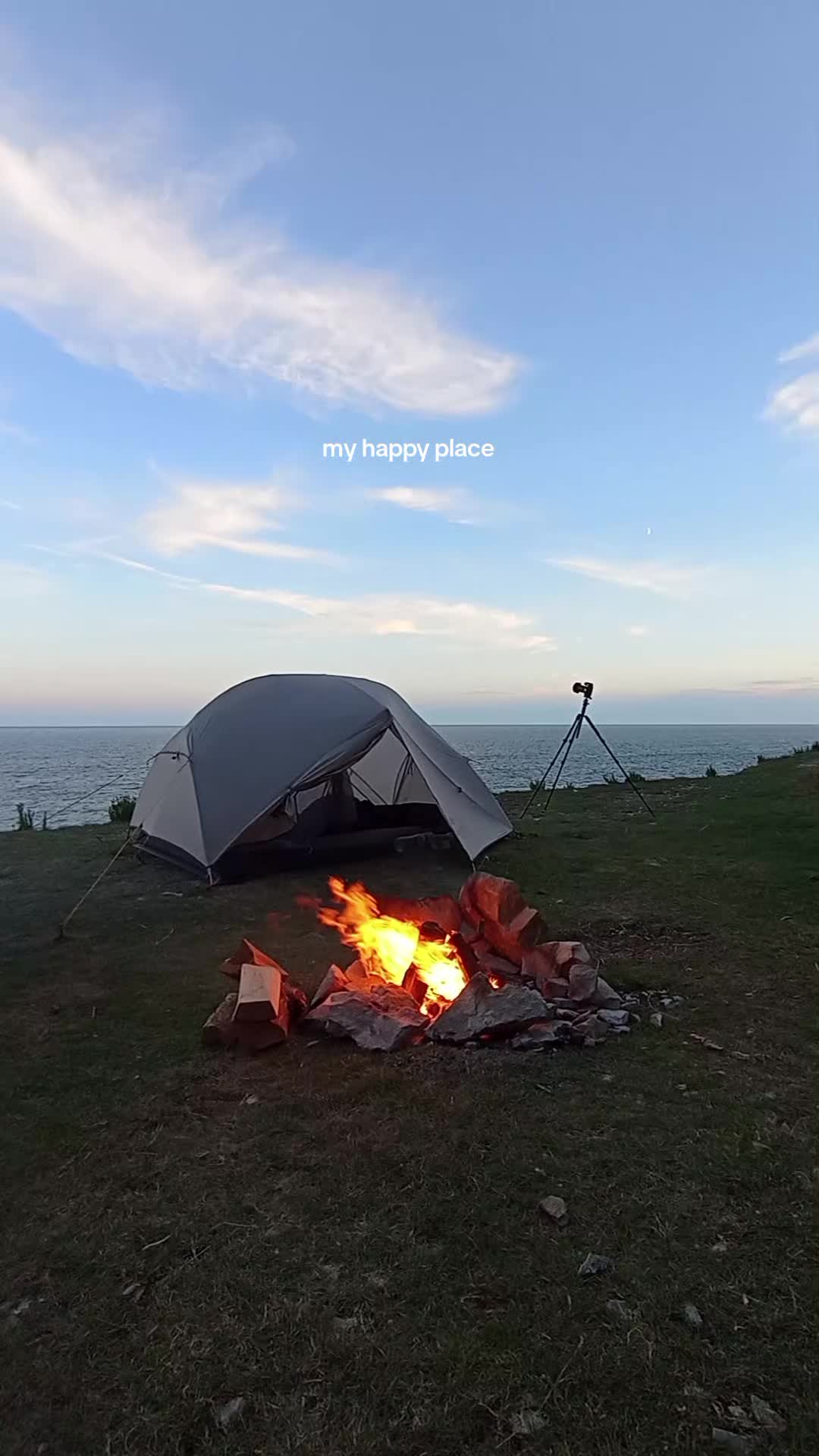 @MJ🌲