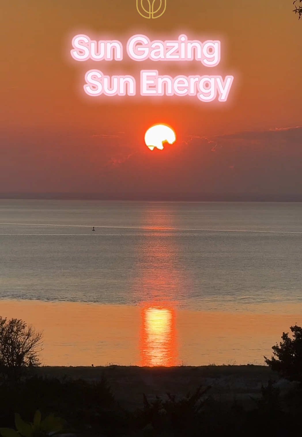 @Denise Dawson Lucid Soul Vibes