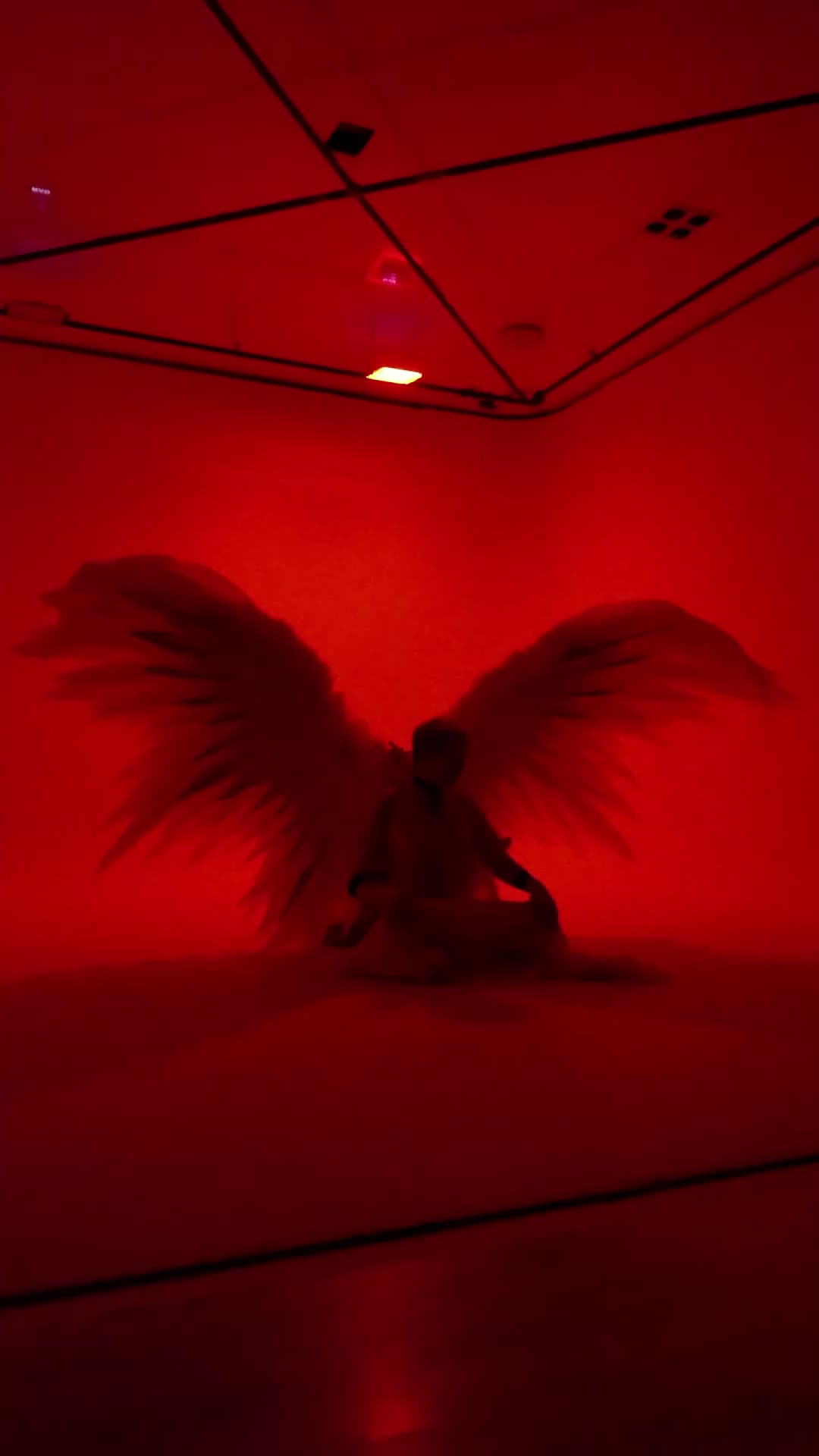 @Angels_PawPrint