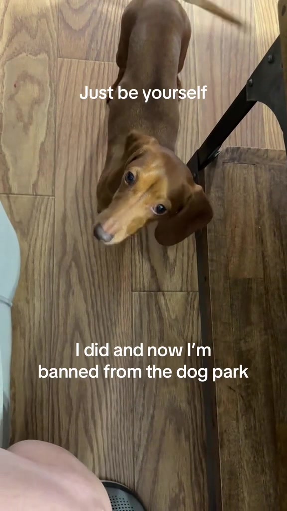 @Sarah and the Peanuts