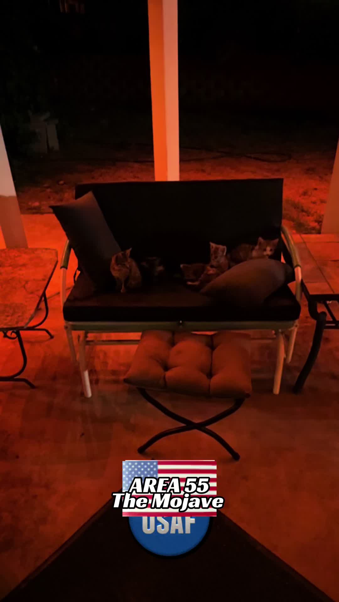 @Area 55