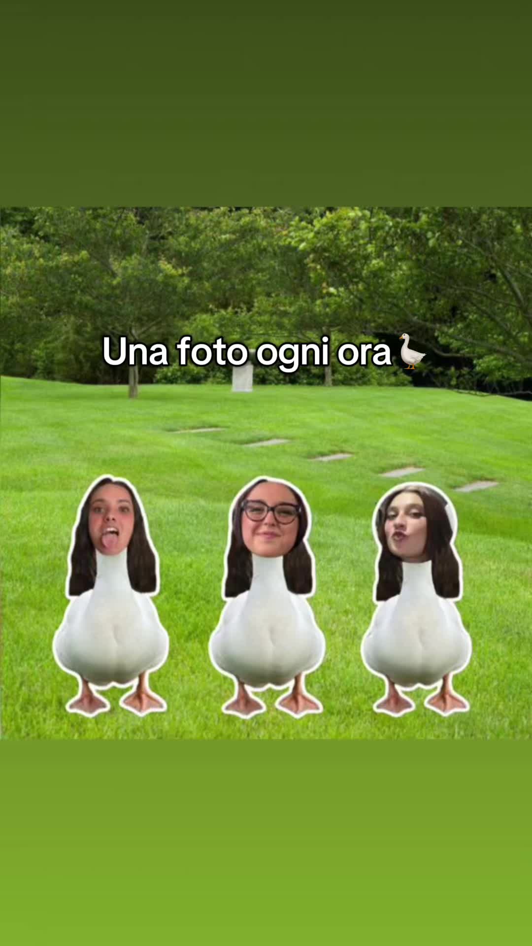 @Ilaria Anni