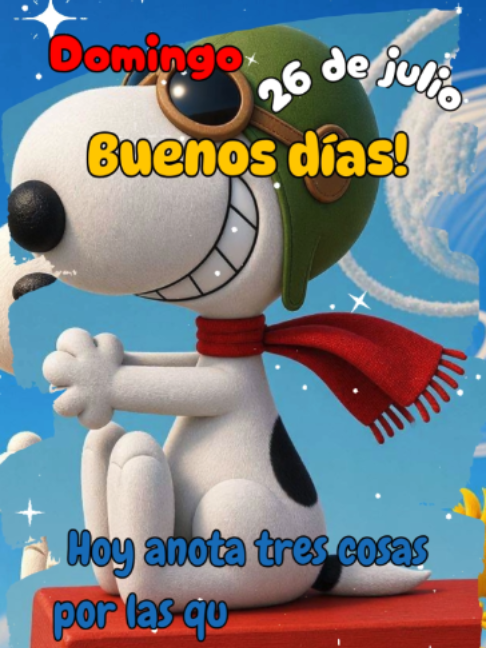 @adachajon.gt