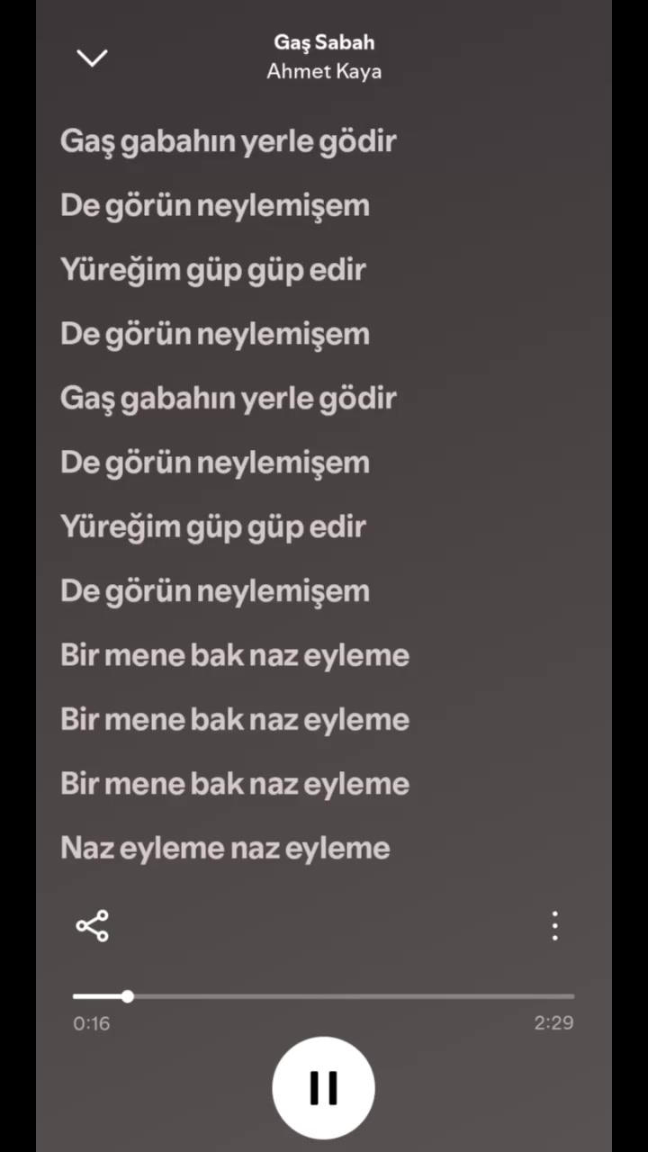 @pro müzik