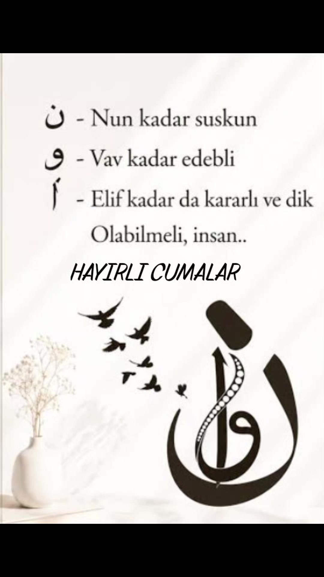@Fatma Bolat
