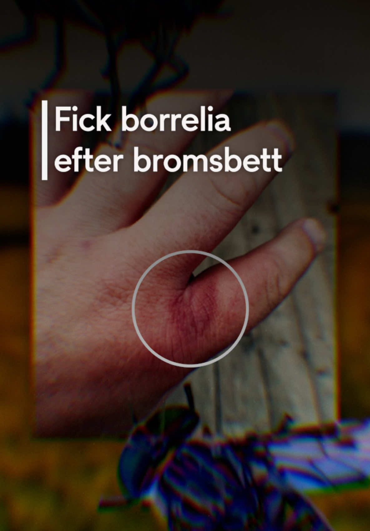 @TV4 Nyheterna