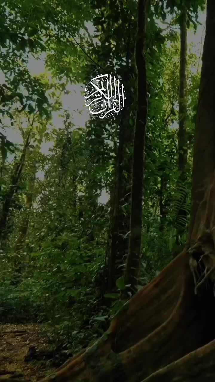 @🦋𝓝ᴏᴏʀᴜʟᴀɪɴ🕊