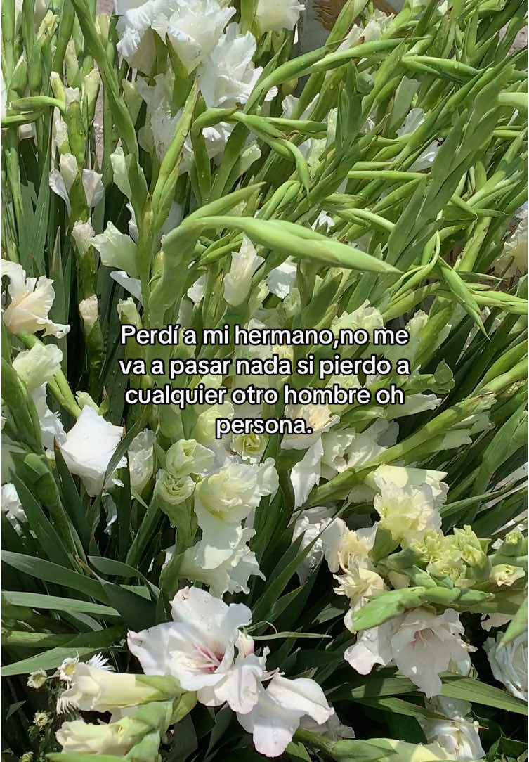 @Ara Kim