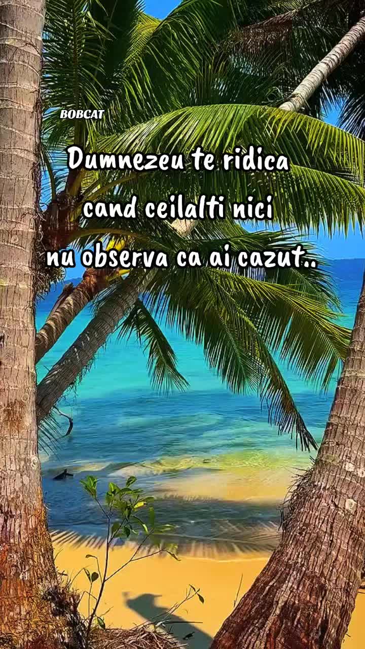 @Schimbare Pozitivă