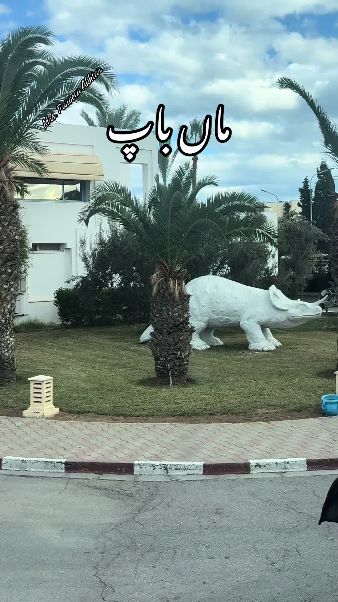 @Parveen Akhtar