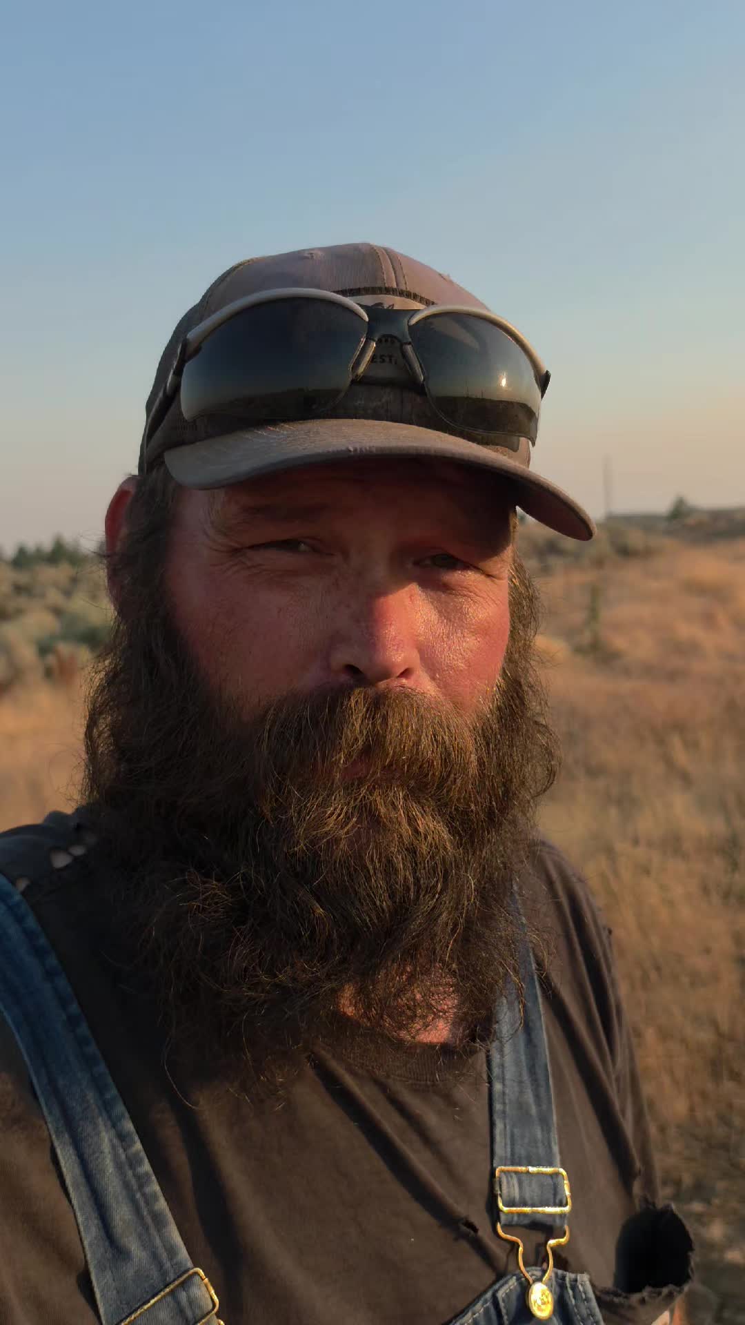 @thebeardedfamily1