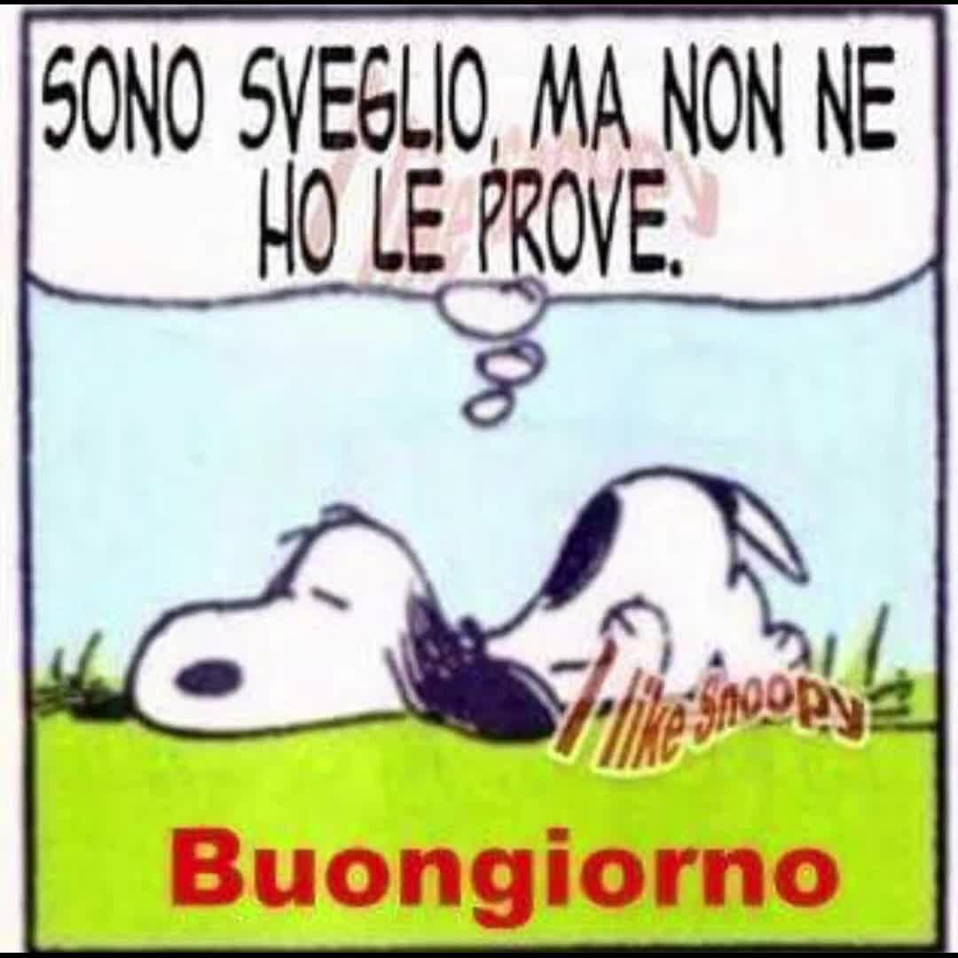 @Gionni D. M.