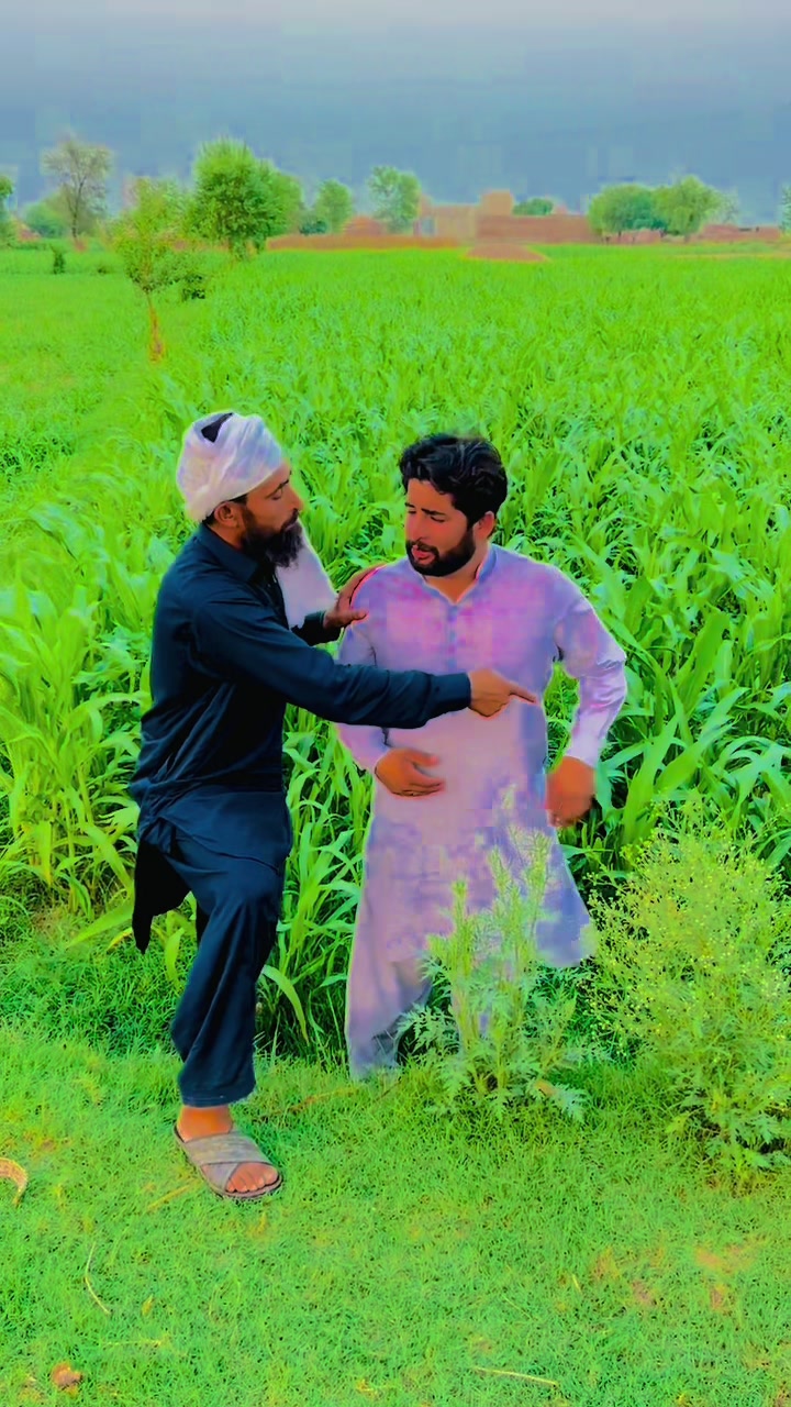@پینڈو بوائز 378