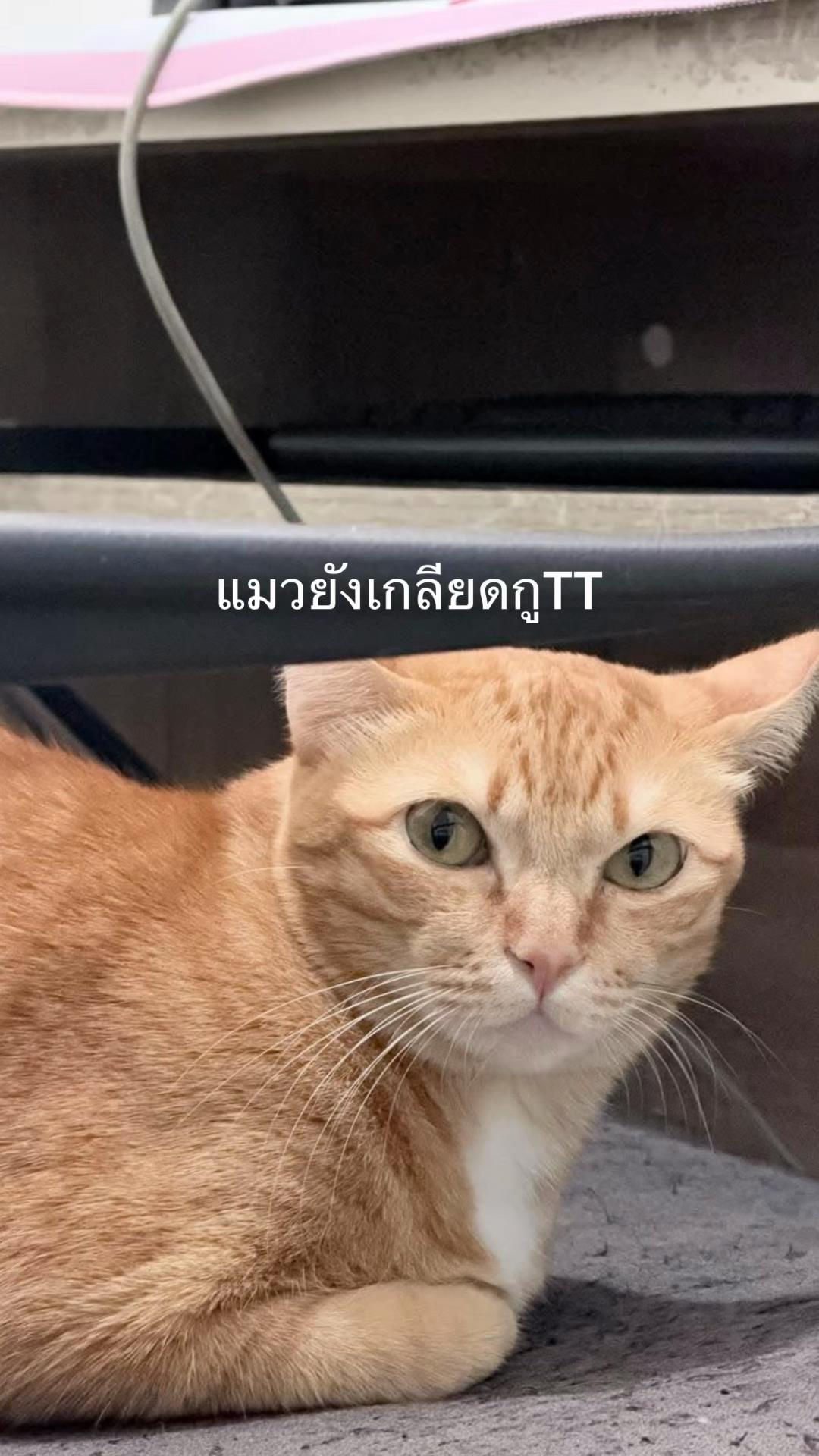 @PB(ผักบุ้ง)