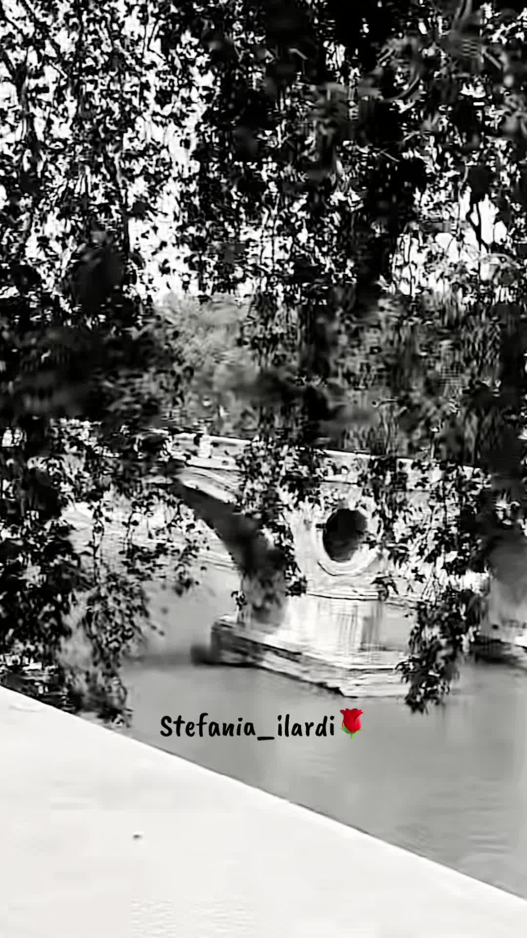 @stefania_ilardi