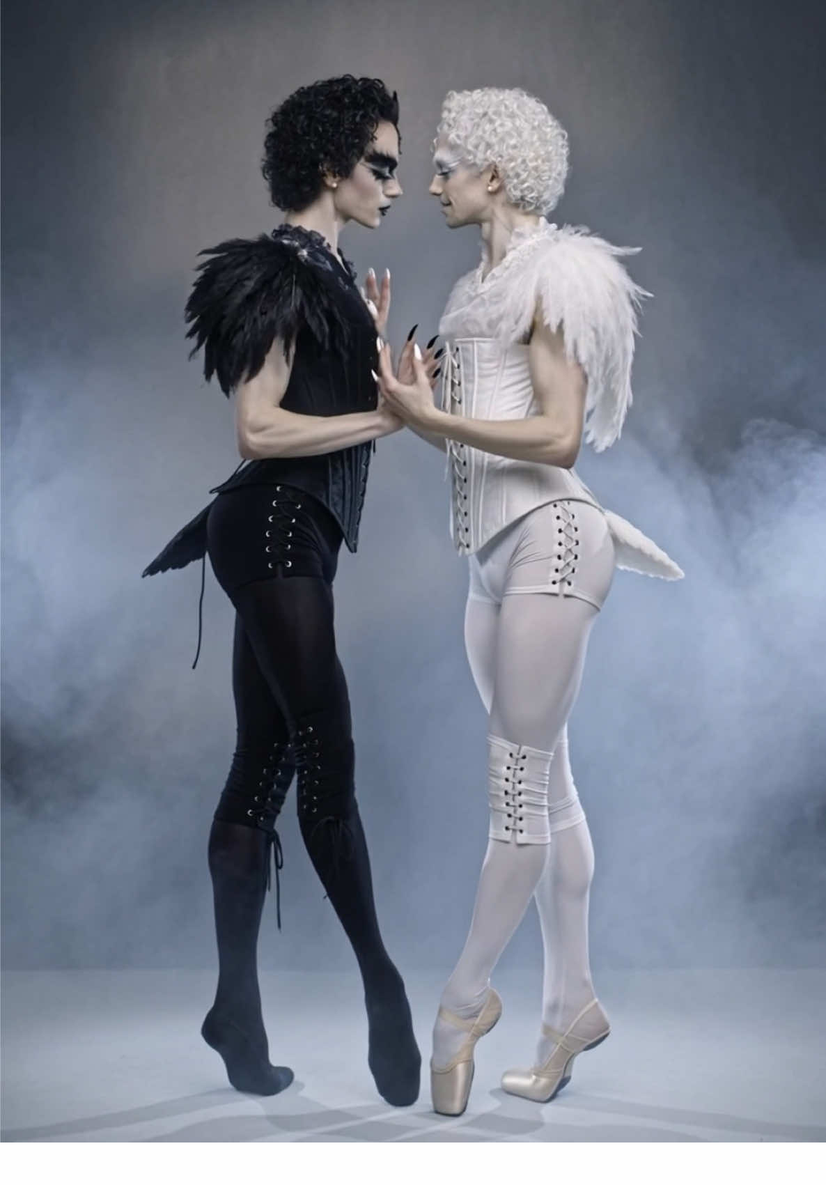 @ROMAN FLORIAN SHEP 🦢 ~Singer