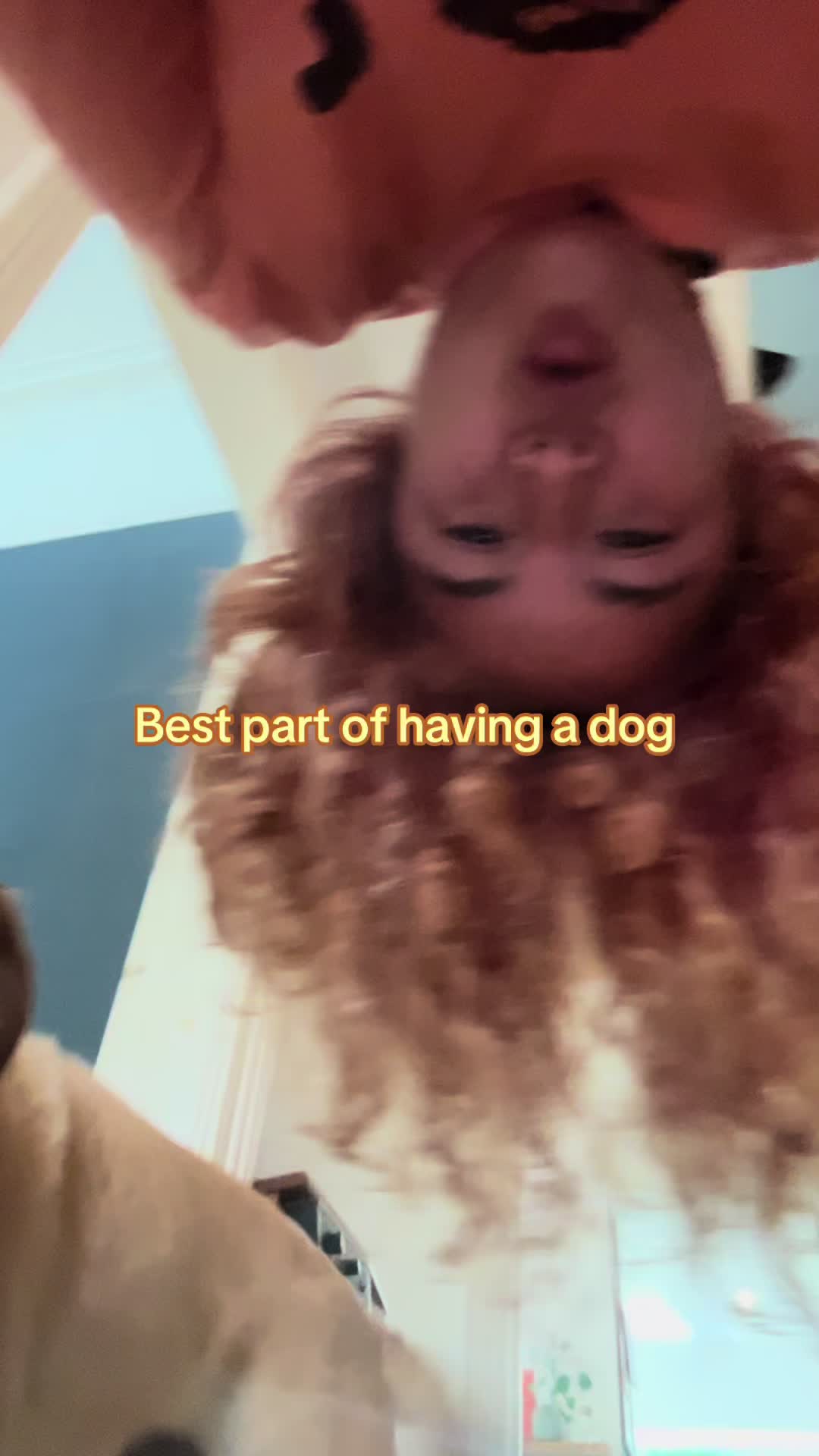 @ellenbethabdi