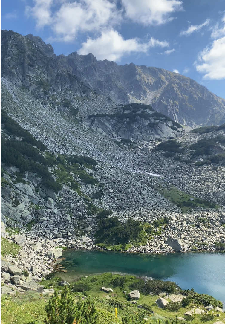 @Pirin