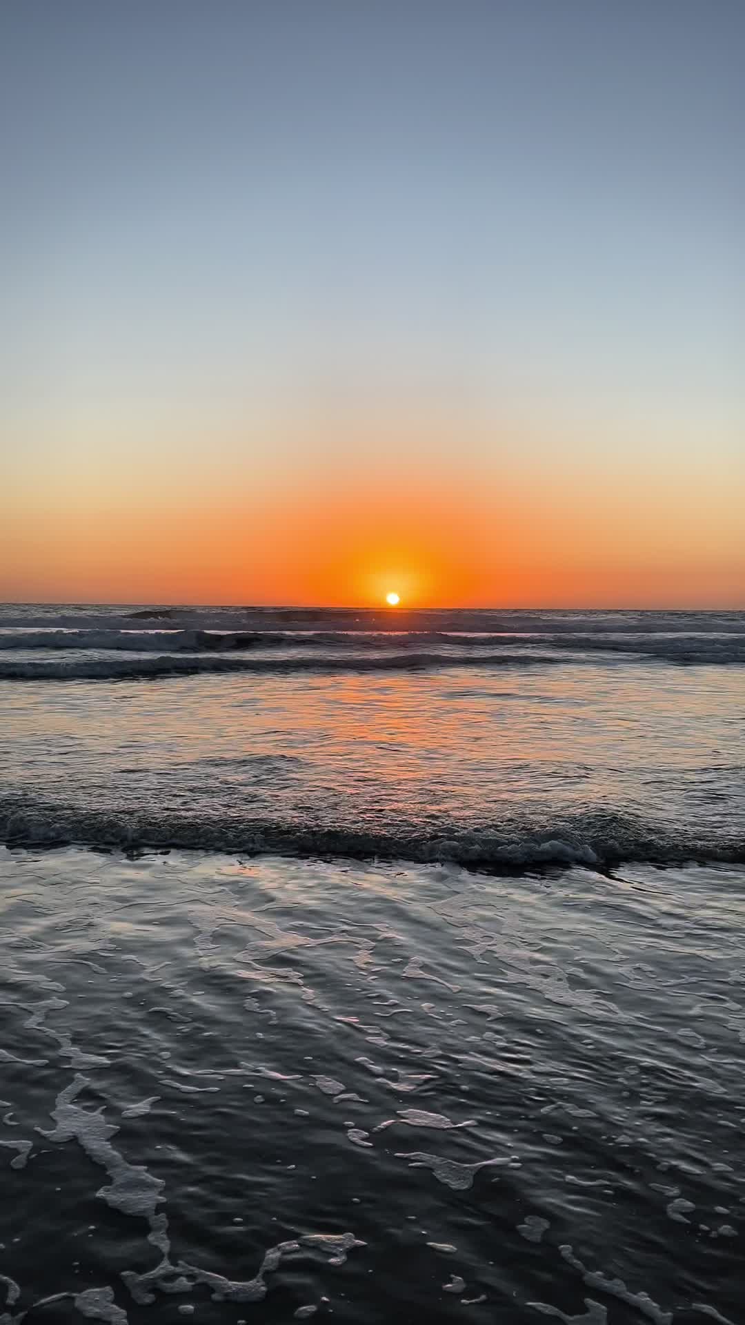 @kohagaan