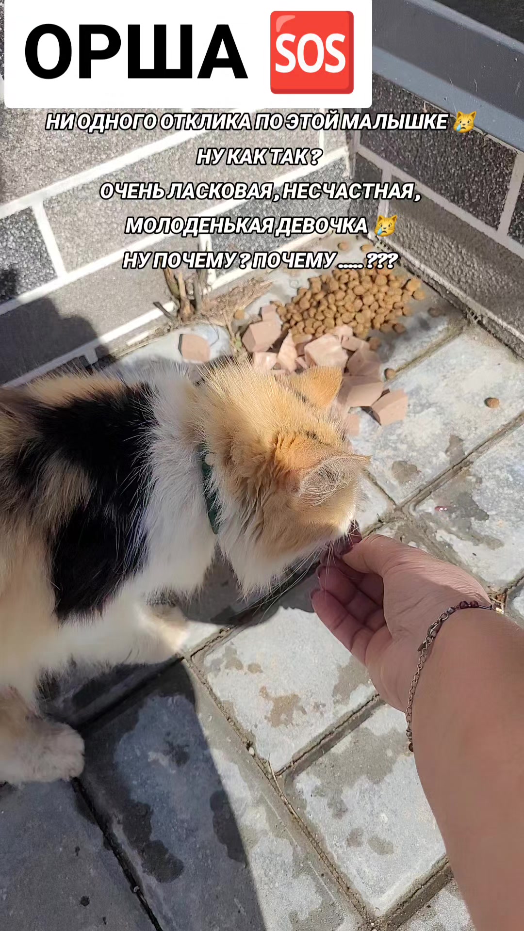 @marinka20_09
