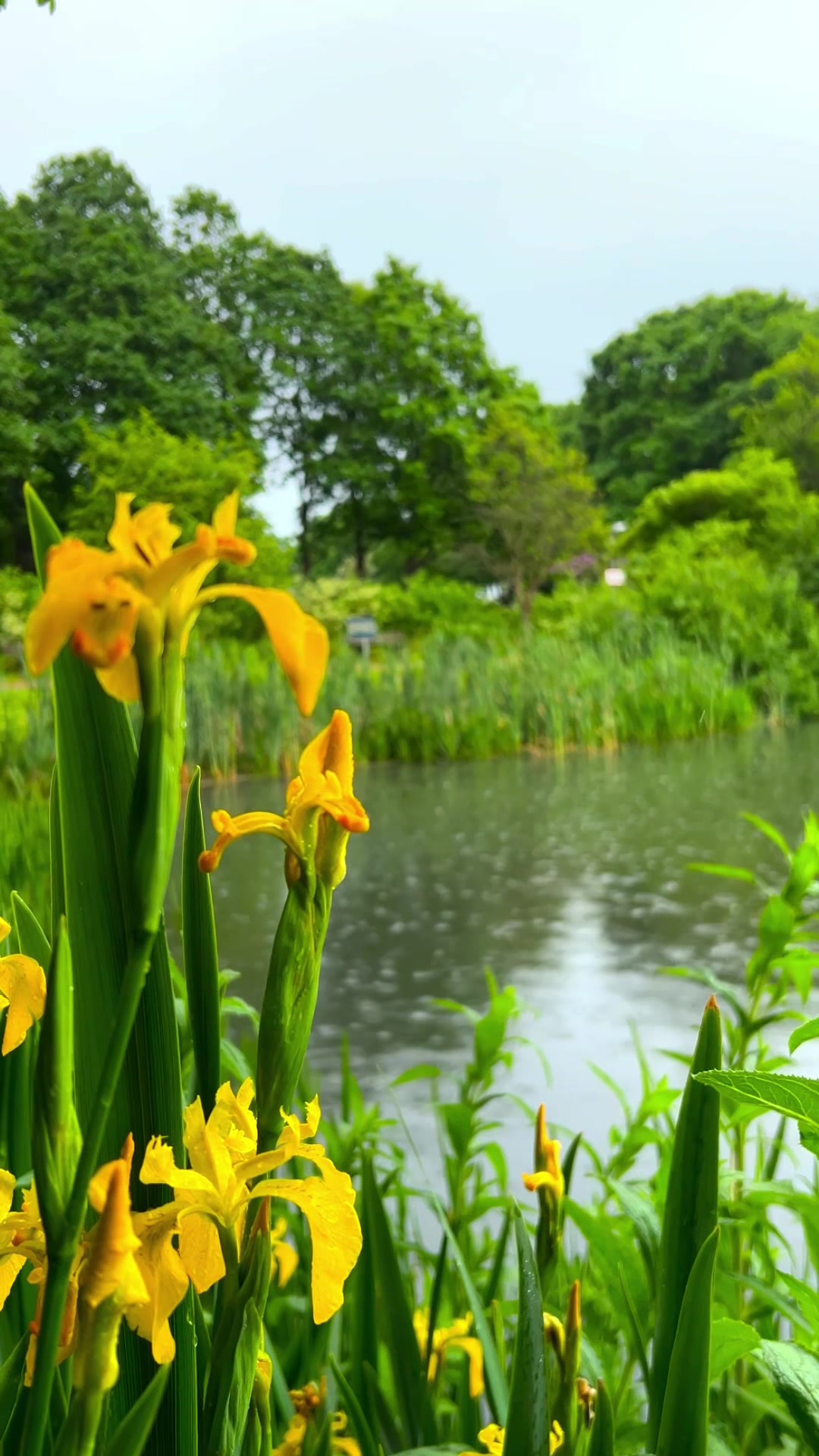 @dk__nature ๐ฉ๐ฐ