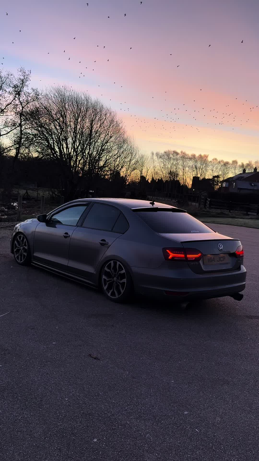 @jayceepotts650