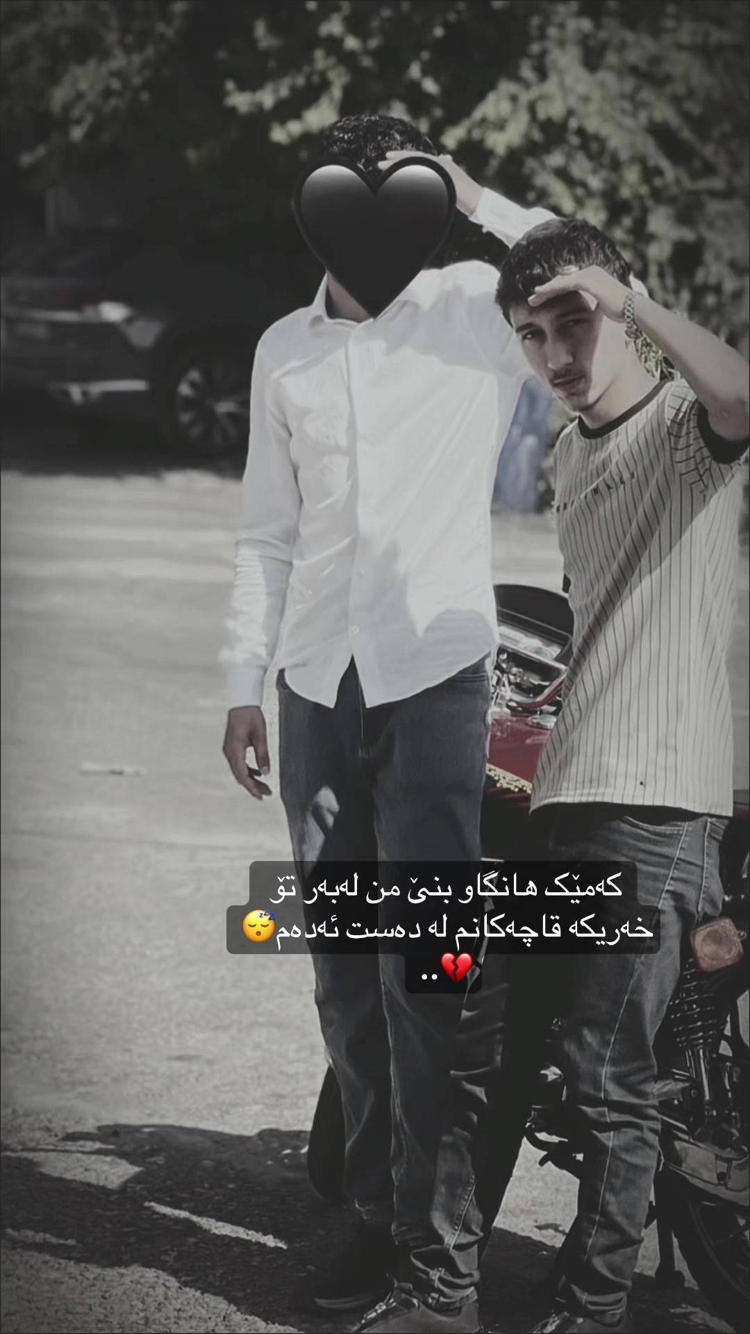 @qaid_safa2