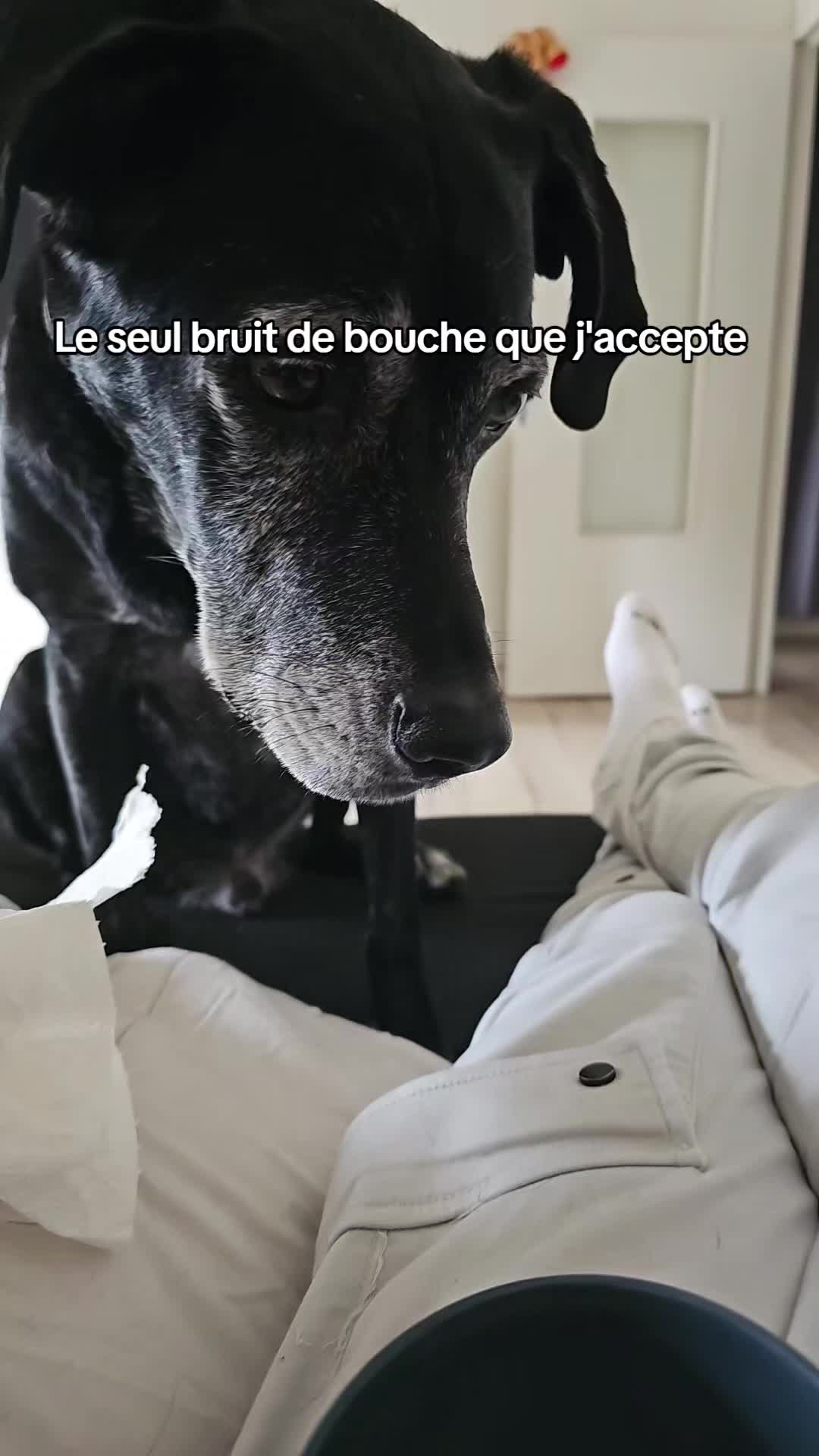 @Neïko Neïko