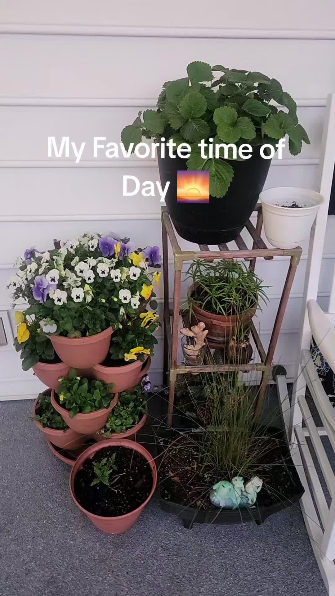 @stacyposton3