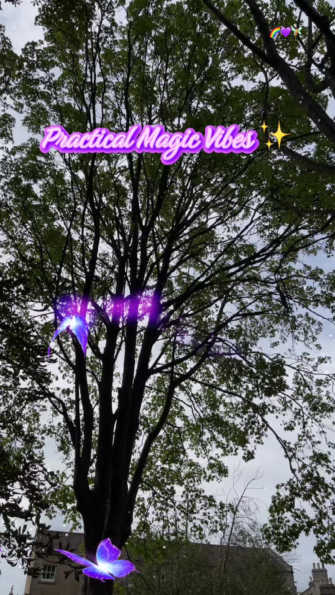 @🌈💜Sarah Lizzie🎃🧚♀️