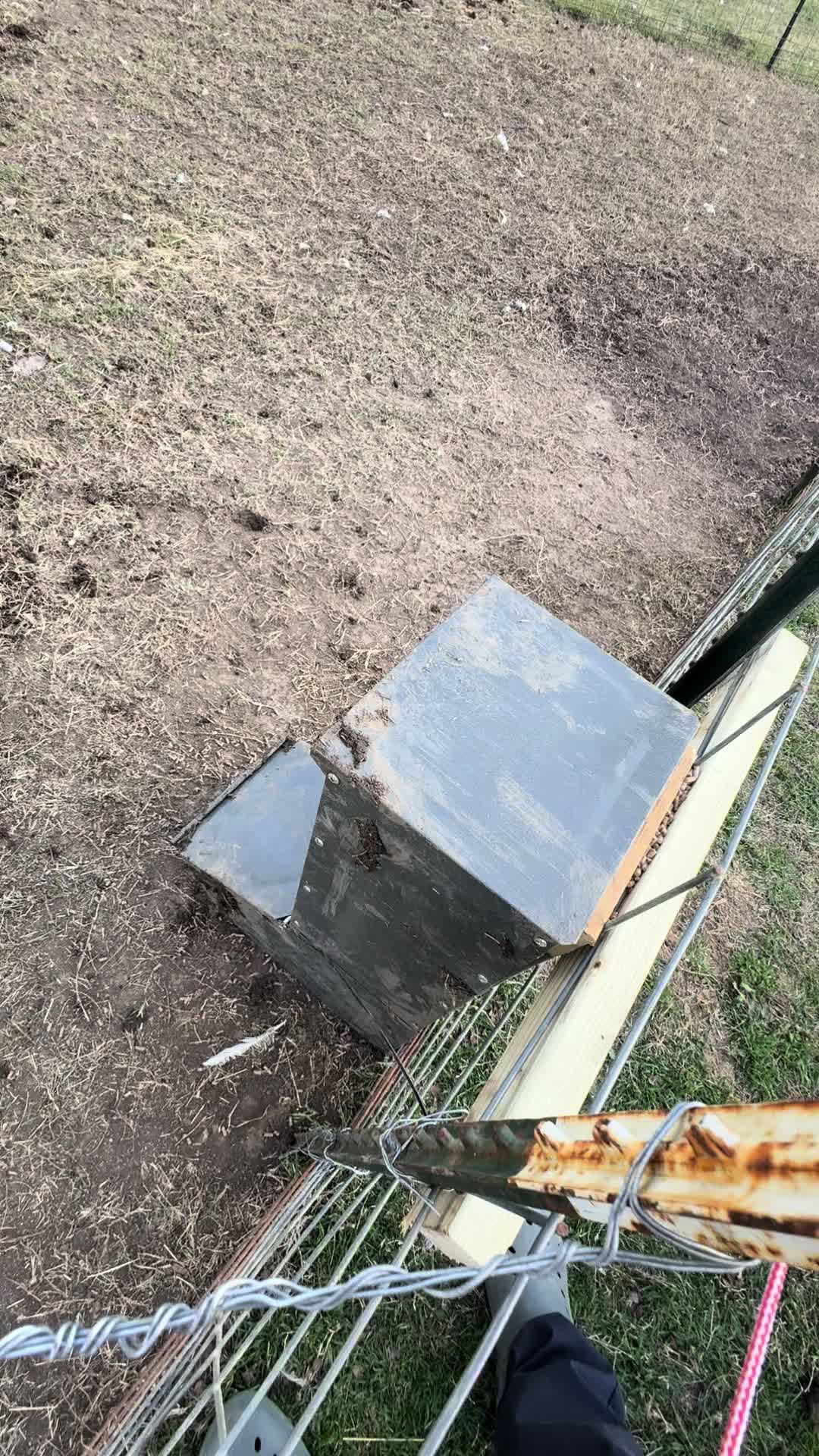 @Brewer Farms TX