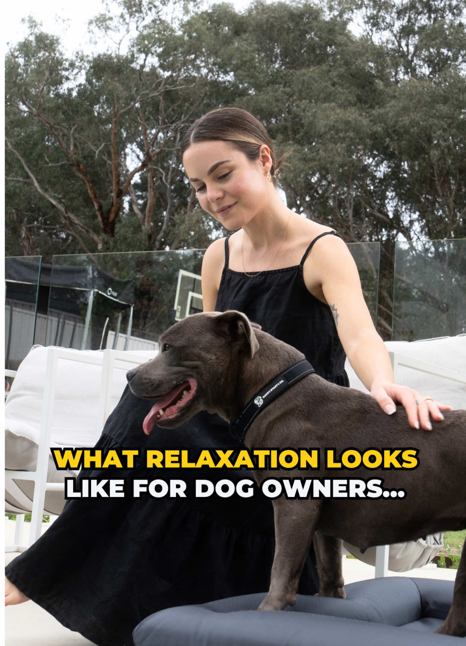@Happy Staffy Co