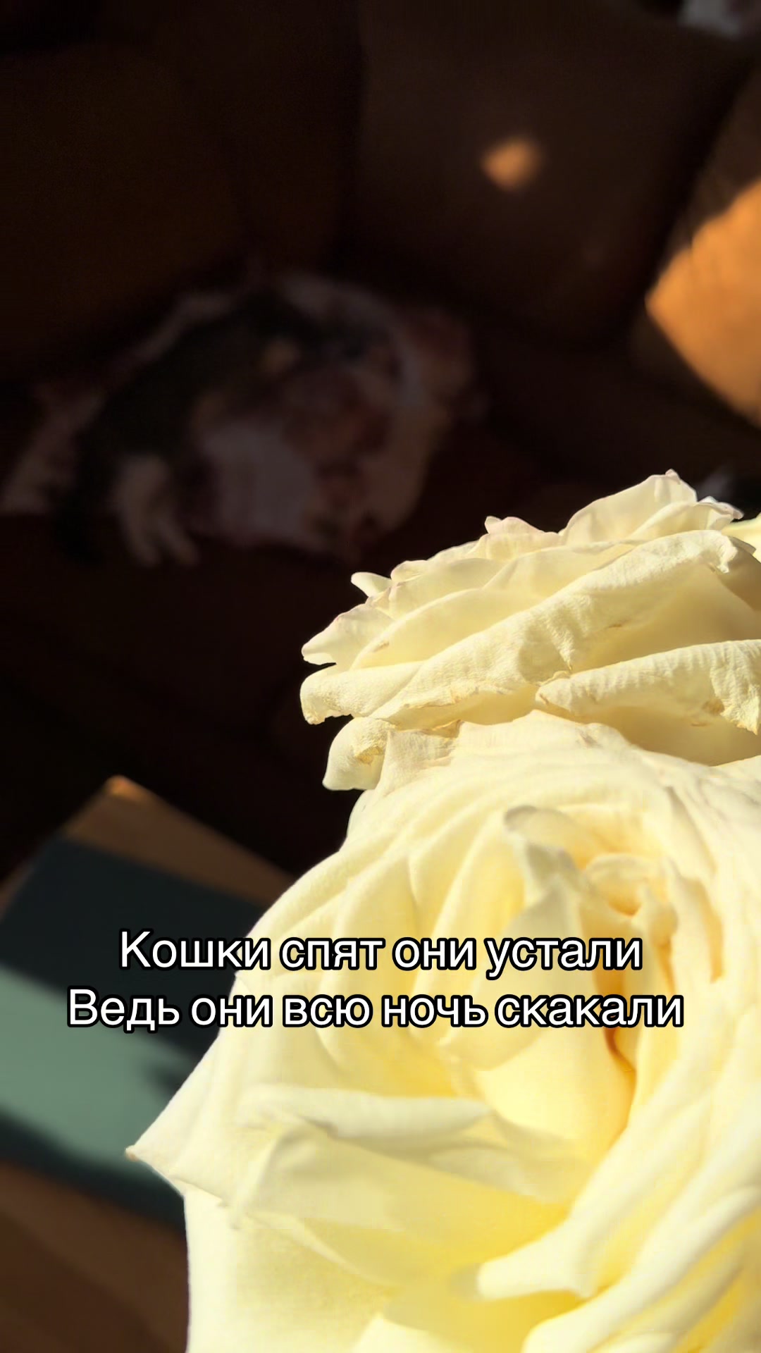 @Анна Алмазова