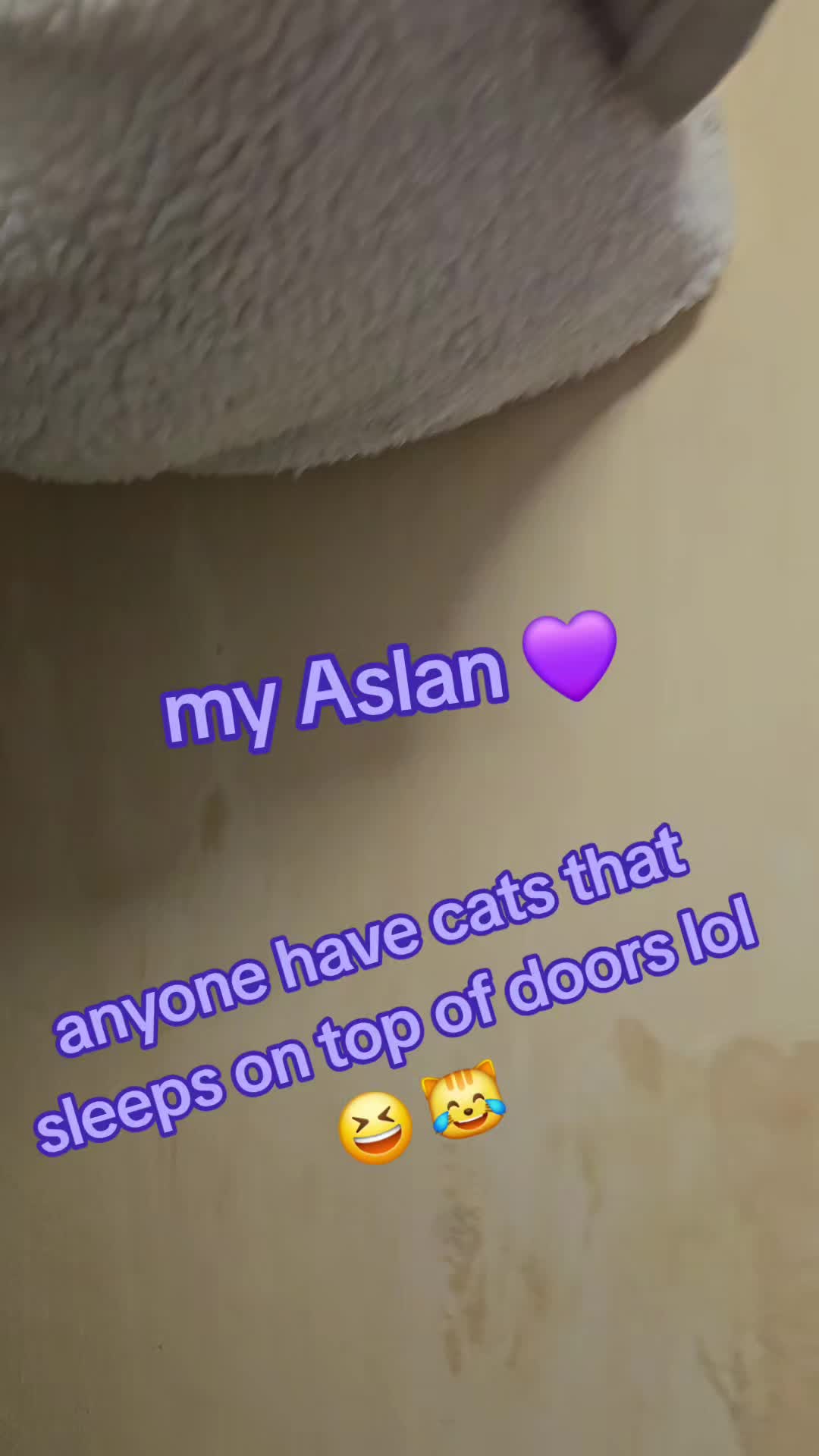 @KellyDisney
