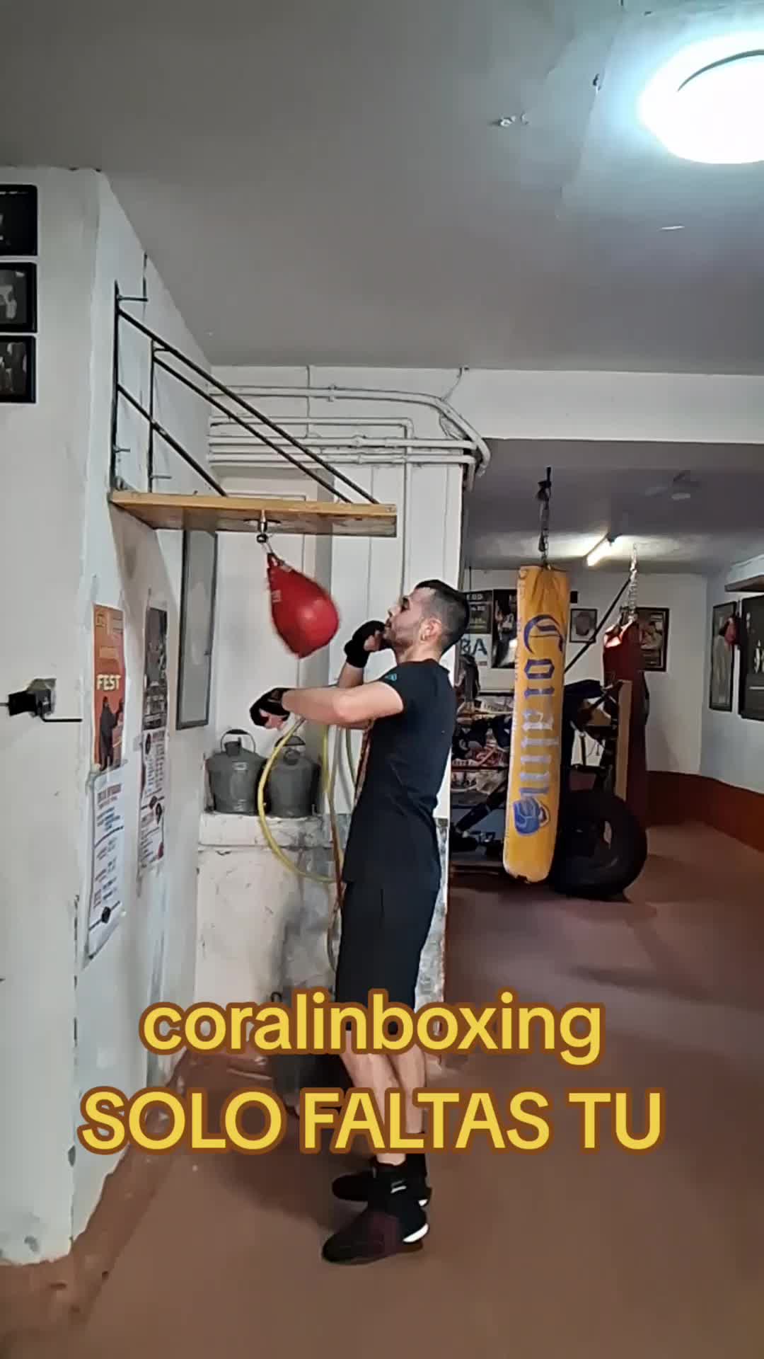 @Coralingboxing72