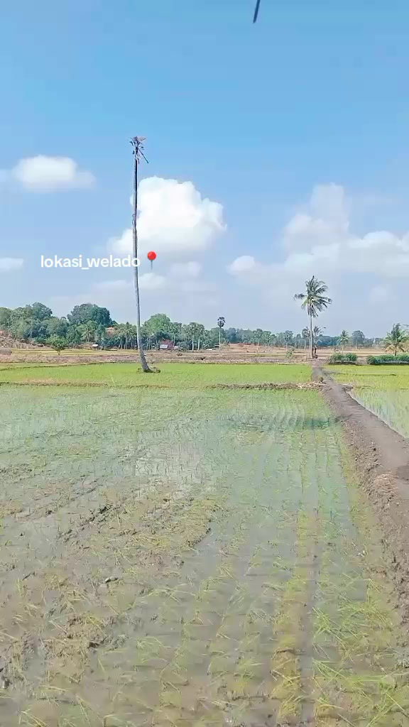 @Sudhy