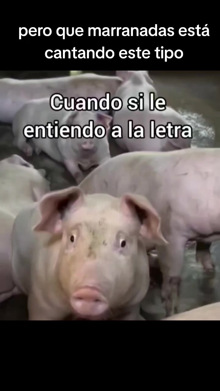 @Tobi bass