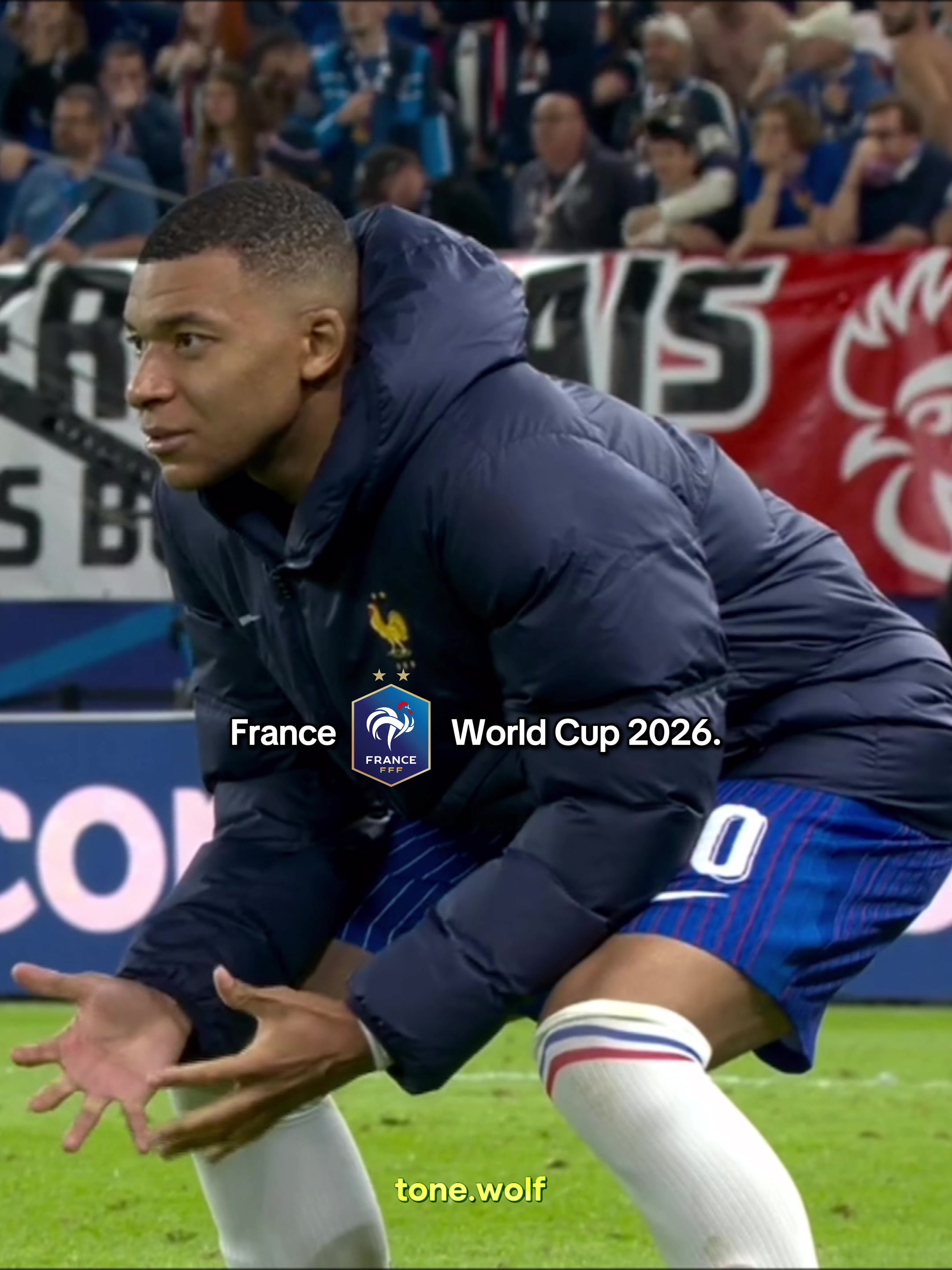 @tone wolf
