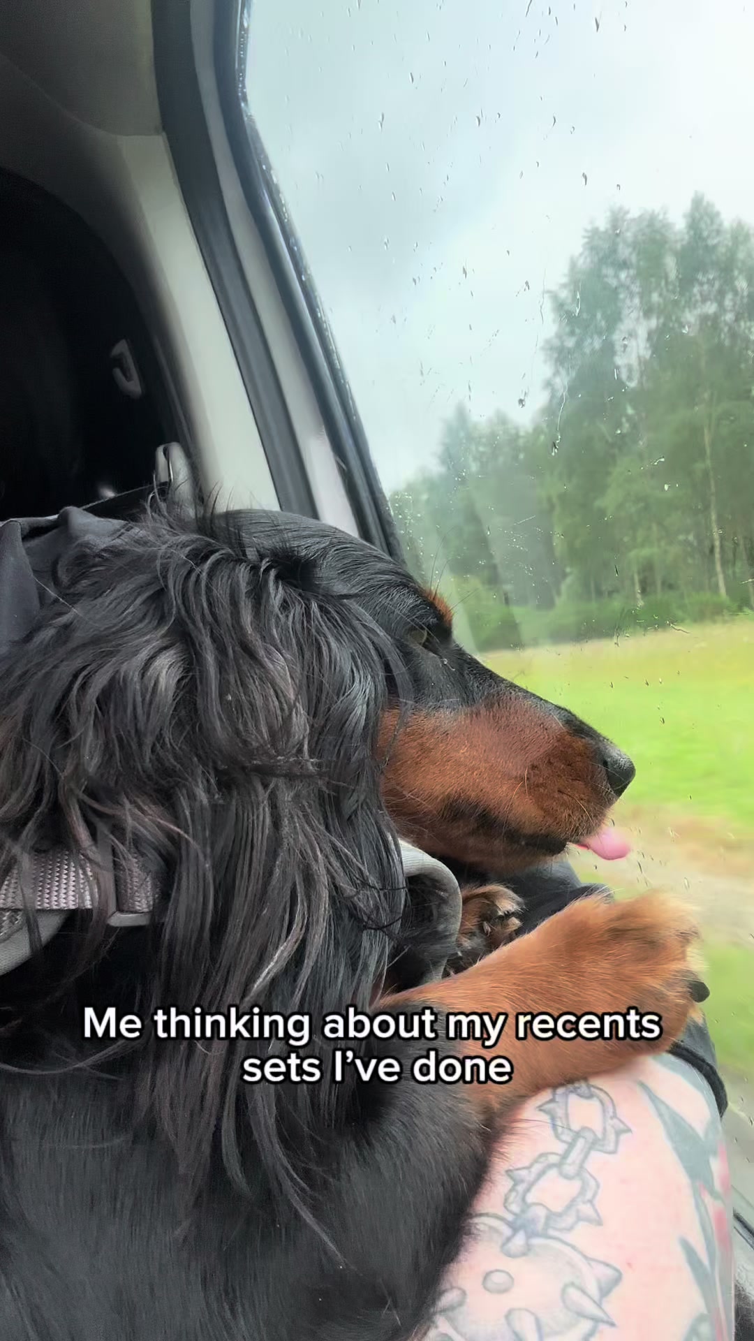 @Maymay.