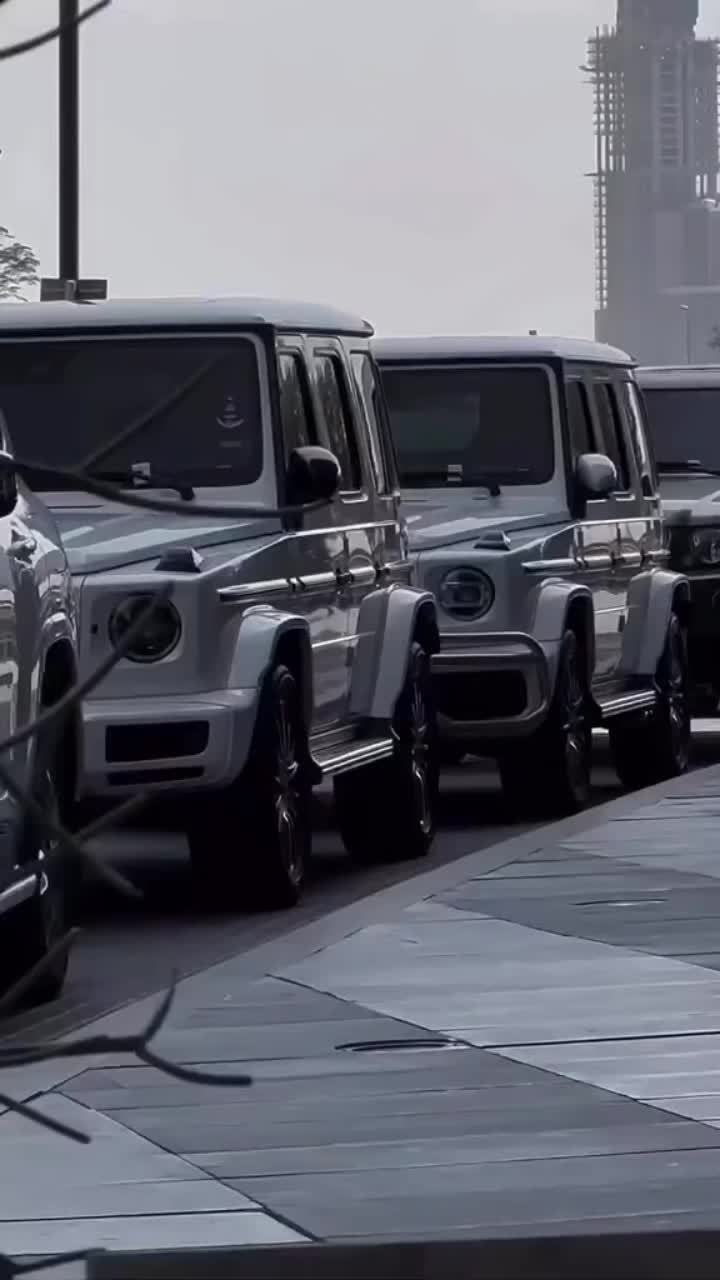 @✨️Xlm-Luxury
