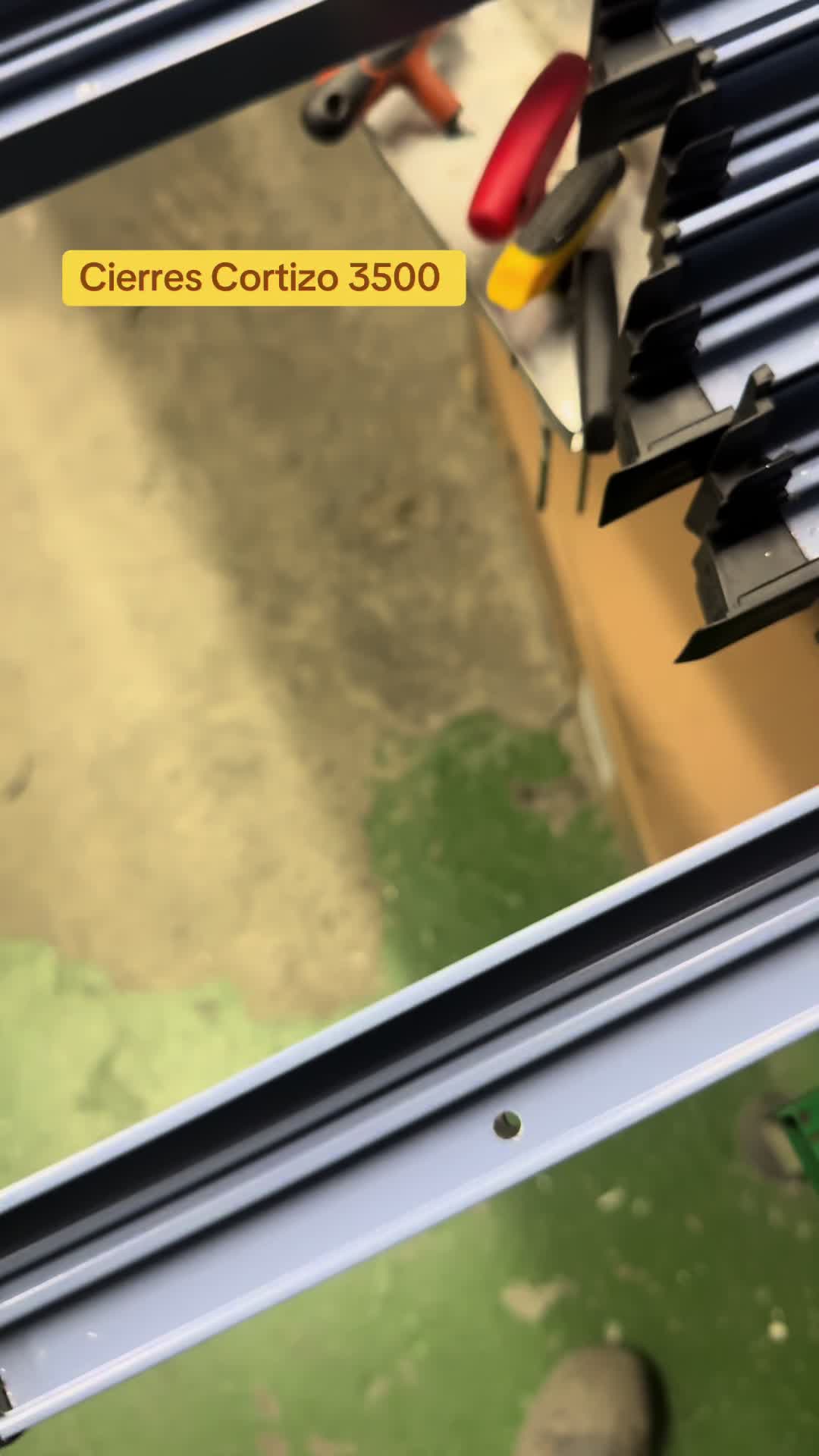 @Cʟᴀꜱꜱʏ Aʟɪ