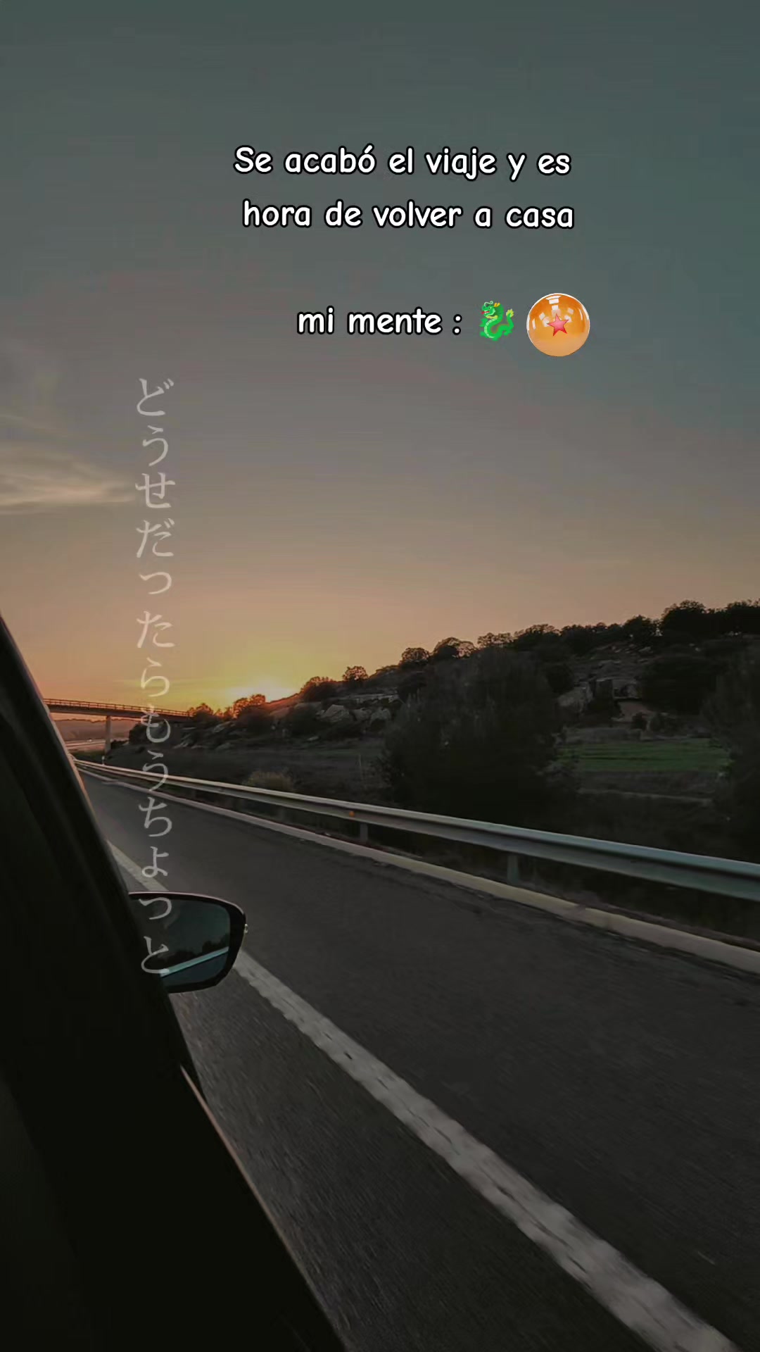 @L1988🎶🦉🏳️&zwj;🌈🇵🇪🇪🇦